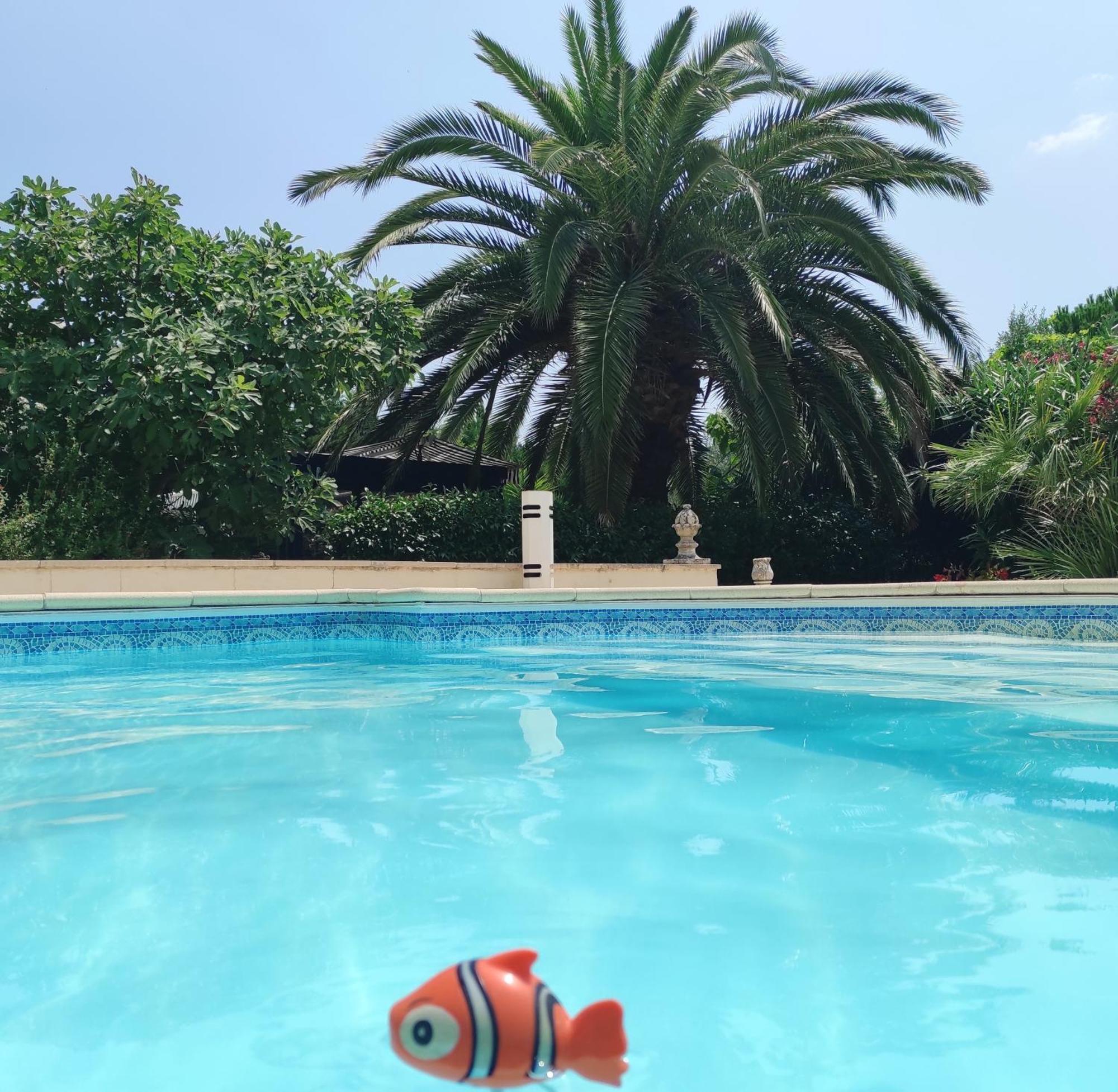 Villa Angel - Spa Caunes-Minervois エクステリア 写真