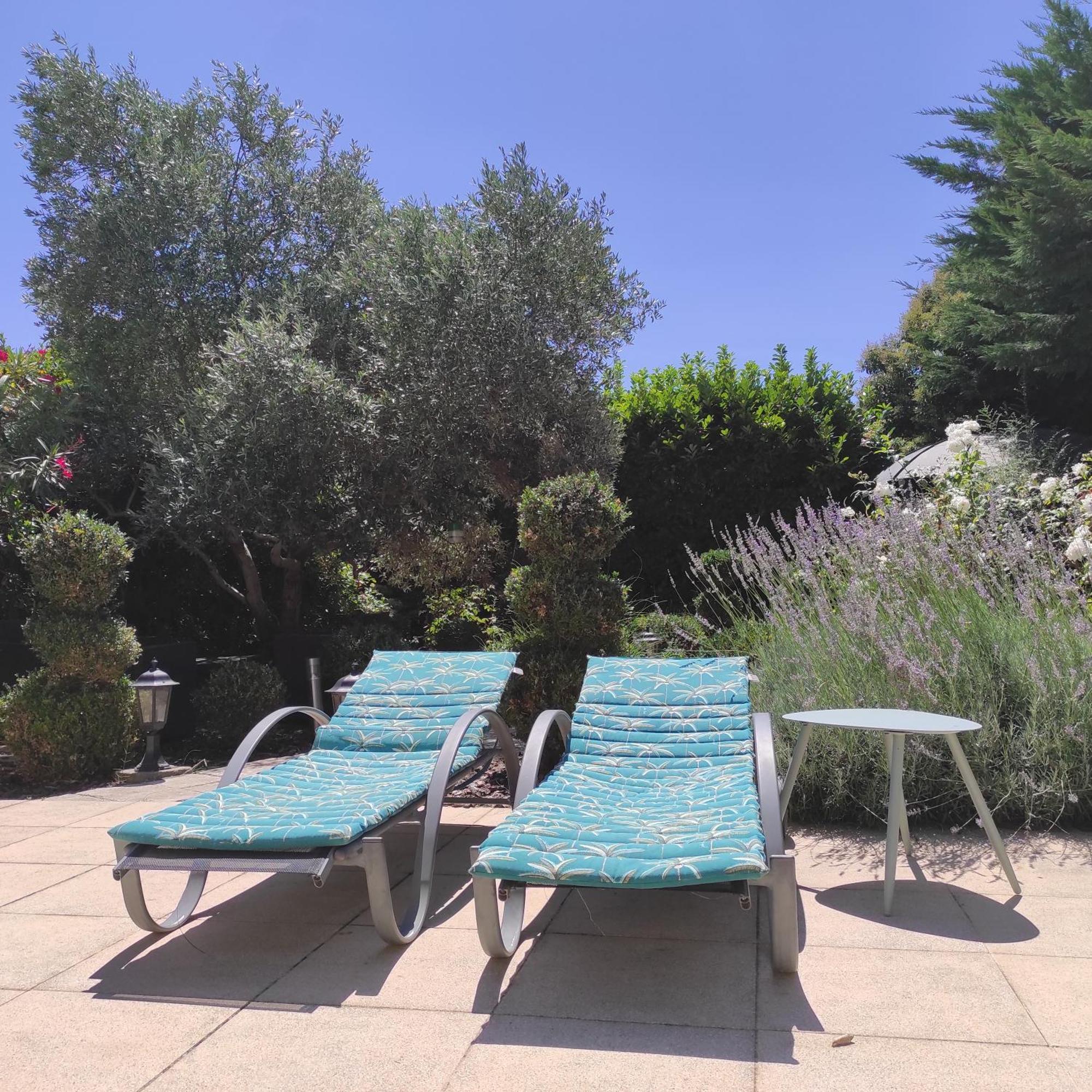 Villa Angel - Spa Caunes-Minervois エクステリア 写真