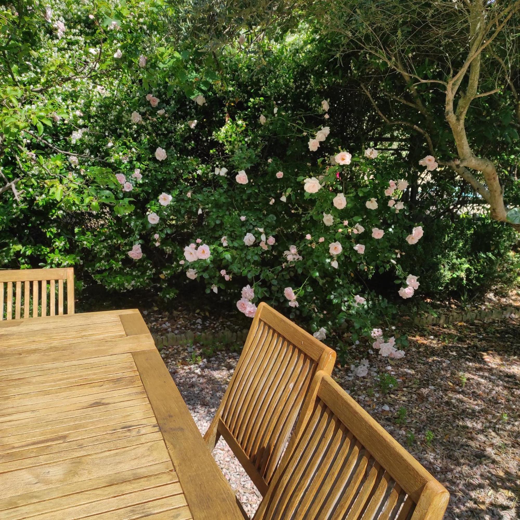 Villa Angel - Spa Caunes-Minervois エクステリア 写真