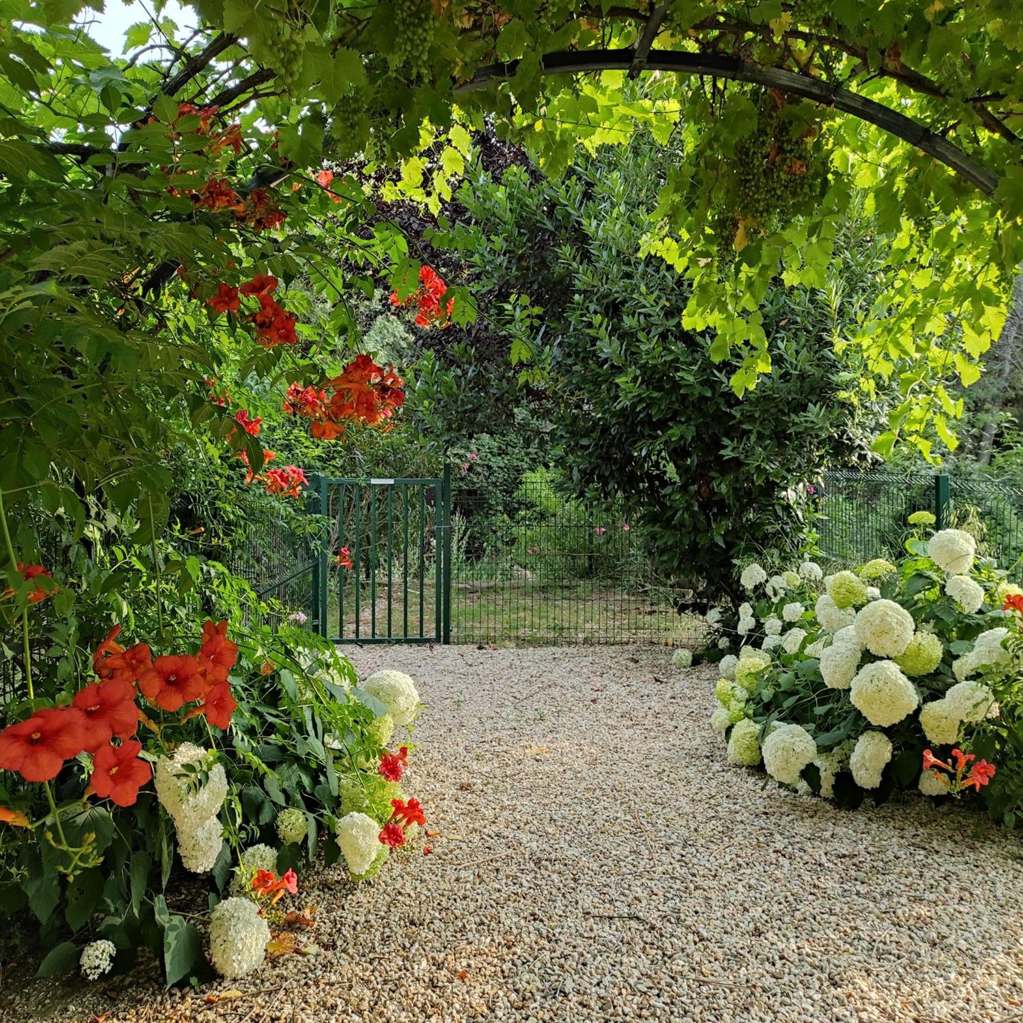 Villa Angel - Spa Caunes-Minervois エクステリア 写真