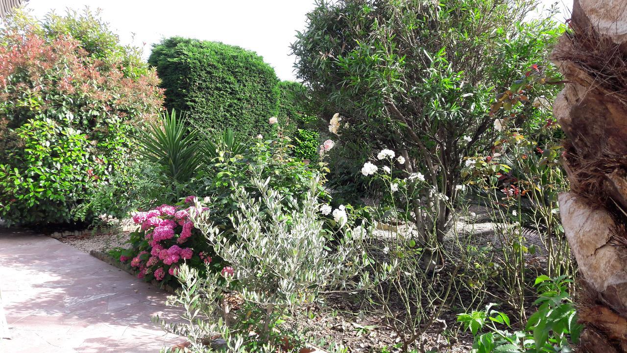 Villa Angel - Spa Caunes-Minervois エクステリア 写真