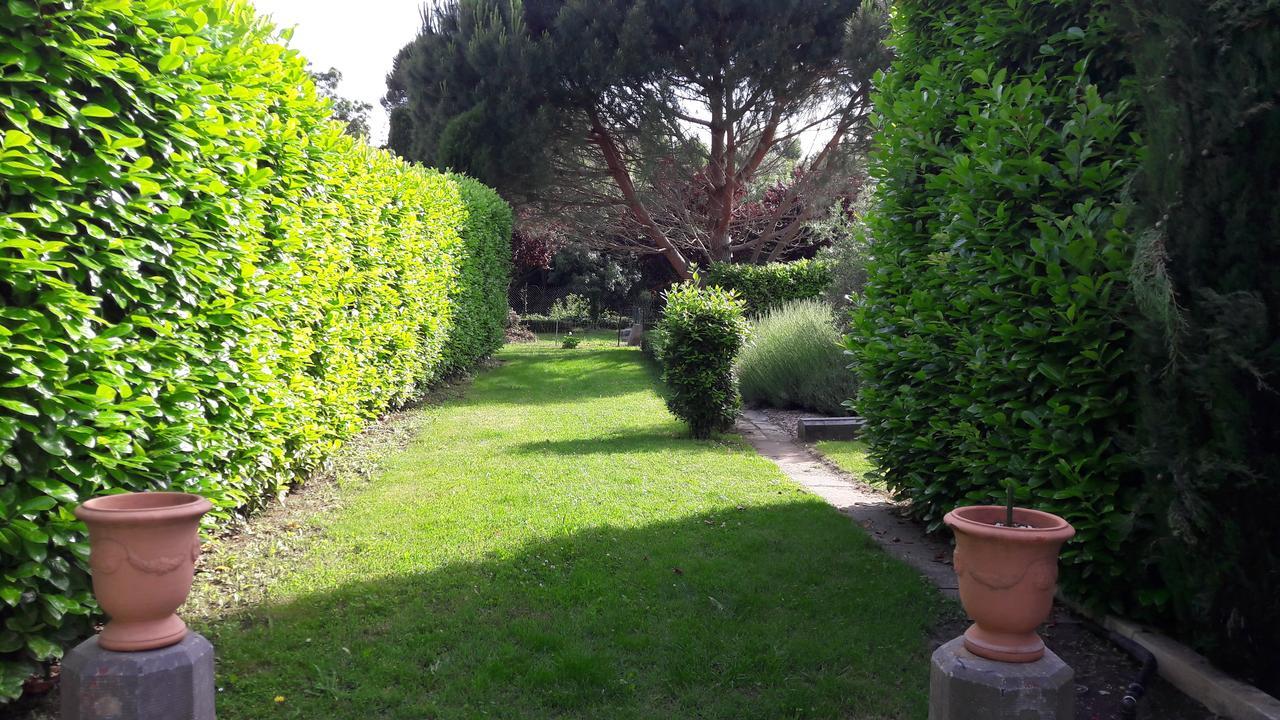 Villa Angel - Spa Caunes-Minervois エクステリア 写真