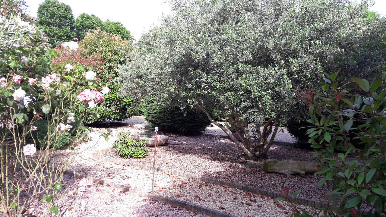 Villa Angel - Spa Caunes-Minervois エクステリア 写真